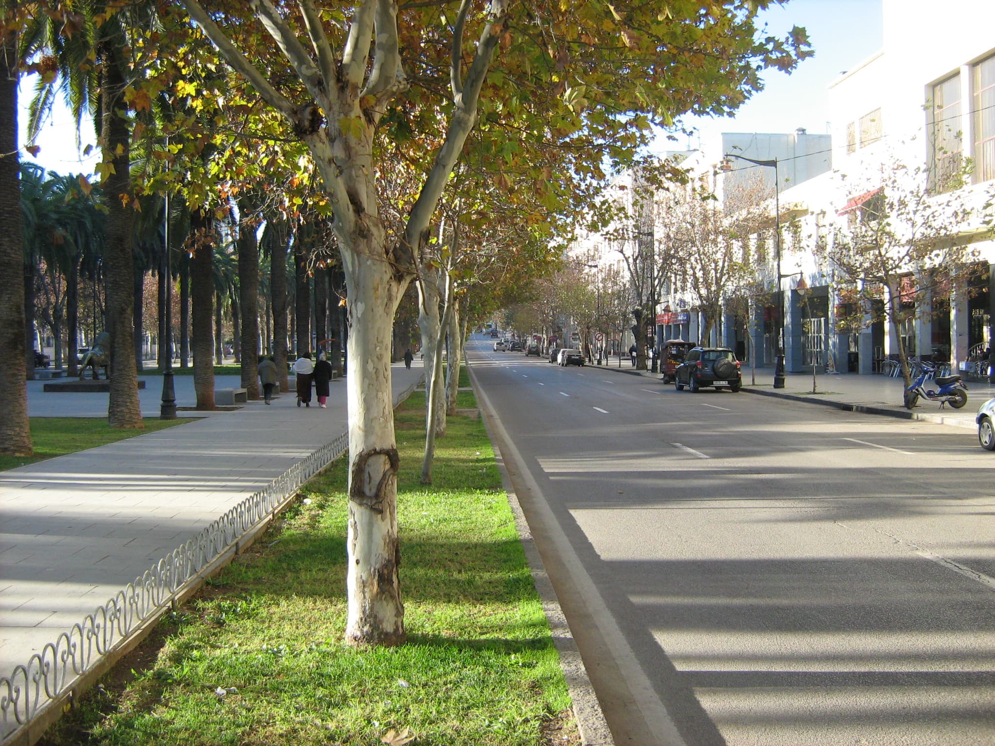 Fes cityscape with Bandy's Cars